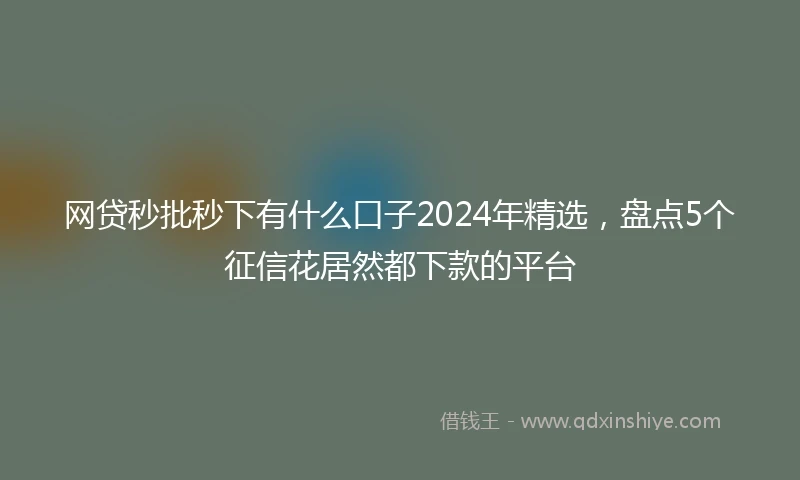 网贷秒批秒下有什么口子2024年精选，盘点5个征信花居然都下款的平台