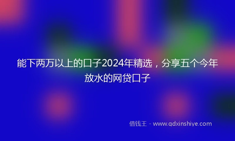 能下两万以上的口子2024年精选，分享五个今年放水的网贷口子