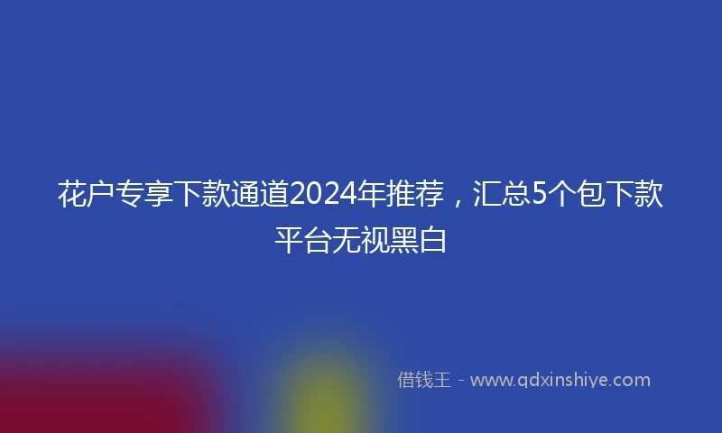 花户专享下款通道2024年推荐，汇总5个包下款平台无视黑白