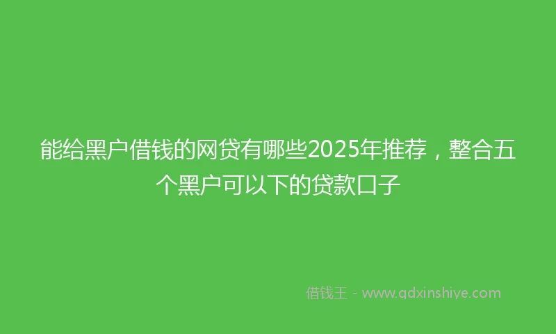 能给黑户借钱的网贷有哪些2025年推荐，整合五个黑户可以下的贷款口子