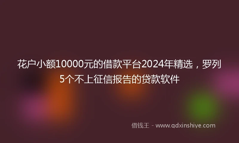 花户小额10000元的借款平台2024年精选,罗列5个不上征信报告的贷款软件