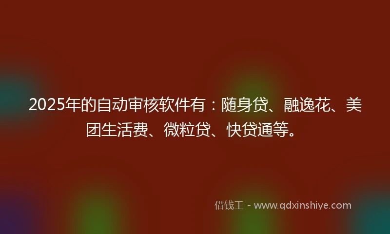 2025年的自动审核软件有：随身贷、融逸花、美团生活费、微粒贷、快贷通等。