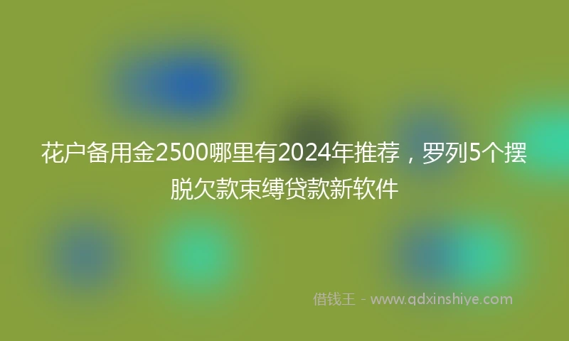 花户备用金2500哪里有2024年推荐,罗列5个摆脱欠款束缚贷款新软件