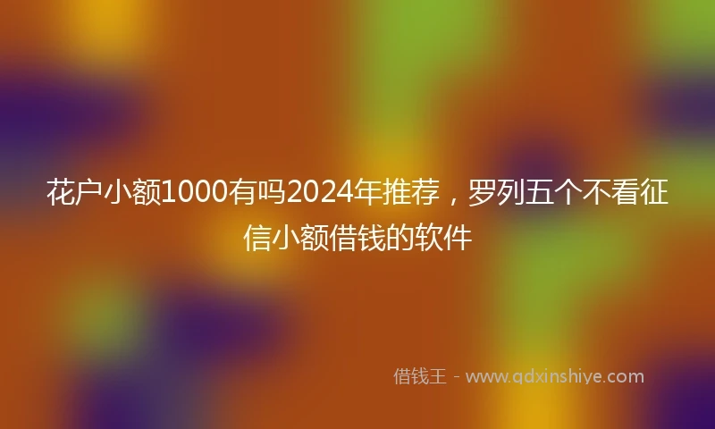 花户小额1000有吗2024年推荐，罗列五个不看征信小额借钱的软件