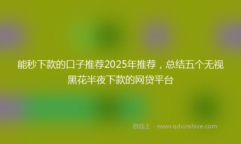 能秒下款的口子推荐2025年推荐，总结五个无视黑花半夜下款的网贷平台