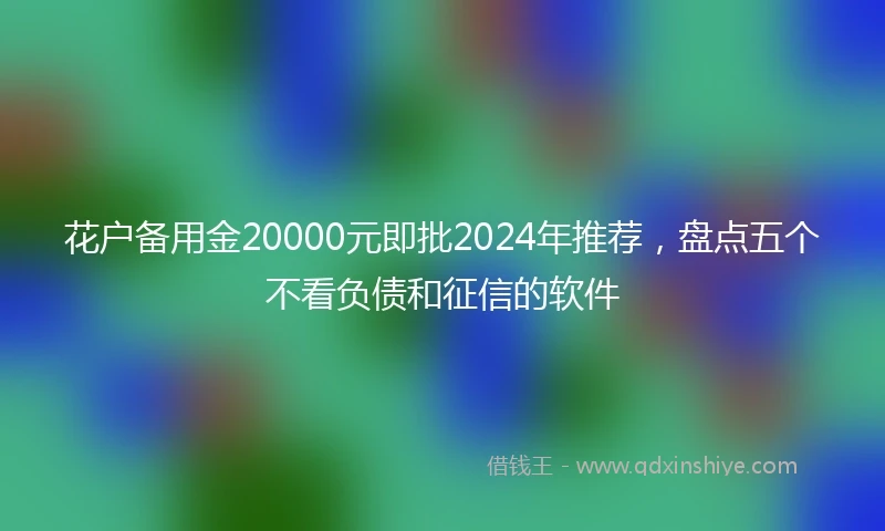 花户备用金20000元即批2024年推荐,盘点五个不看负债和征信的软件