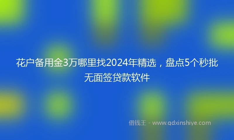 花户备用金3万哪里找2024年精选，盘点5个秒批无面签贷款软件