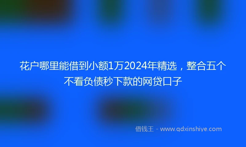 花户哪里能借到小额1万2024年精选,整合五个不看负债秒下款的网贷口子