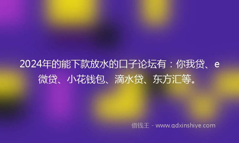 2024年的能下款放水的口子论坛有：你我贷、e微贷、小花钱包、滴水贷、东方汇等。