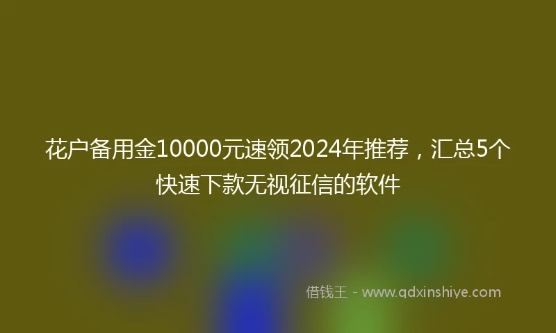 花户备用金10000元速领2024年推荐，汇总5个快速下款无视征信的软件