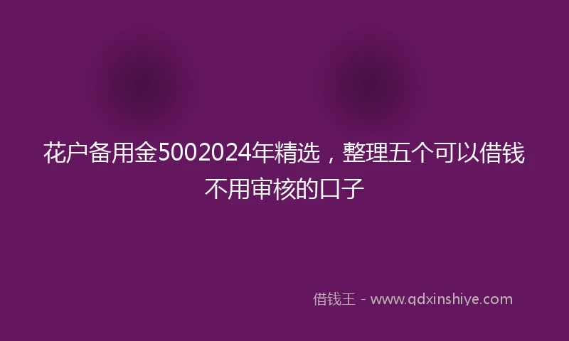 花户备用金5002024年精选，整理五个可以借钱不用审核的口子