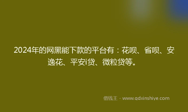 2024年的网黑能下款的平台有：花呗、省呗、安逸花、平安i贷、微粒贷等。