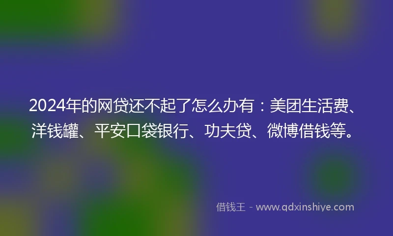 2024年的网贷还不起了怎么办有:美团生活费、洋钱罐、平安口袋银行、功夫贷、微博借钱等。