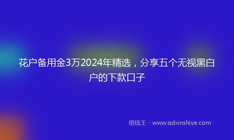 花户备用金3万2024年精选，分享五个无视黑白户的下款口子