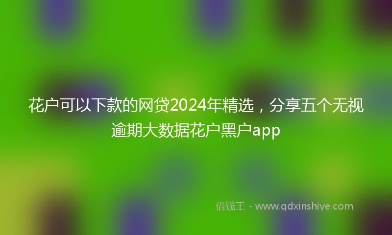 花户可以下款的网贷2024年精选，分享五个无视逾期大数据花户黑户app