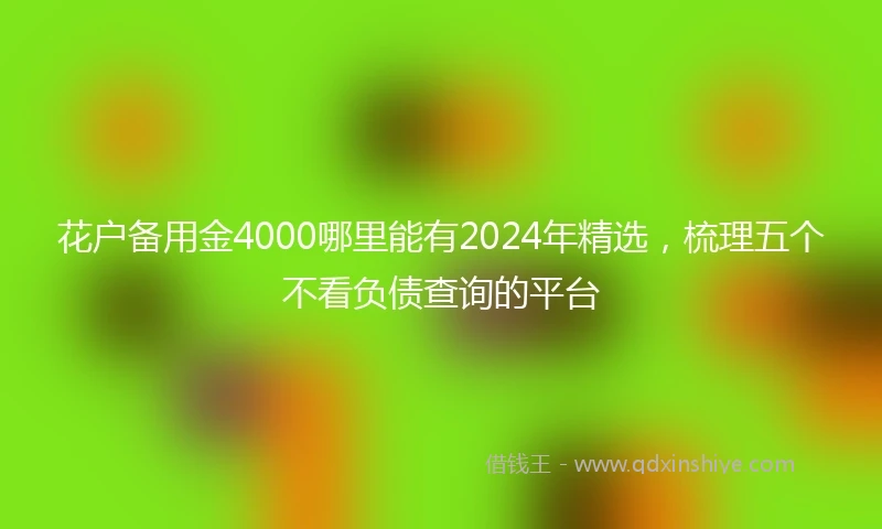 花户备用金4000哪里能有2024年精选，梳理五个不看负债查询的平台