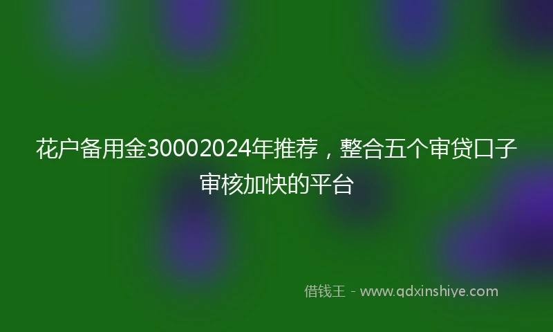 花户备用金30002024年推荐，整合五个审贷口子审核加快的平台
