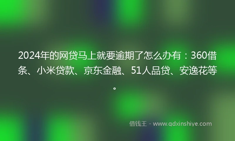 2024年的网贷马上就要逾期了怎么办有：360借条、小米贷款、京东金融、51人品贷、安逸花等。