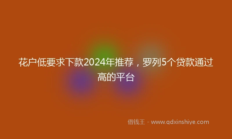 花户低要求下款2024年推荐，罗列5个贷款通过高的平台