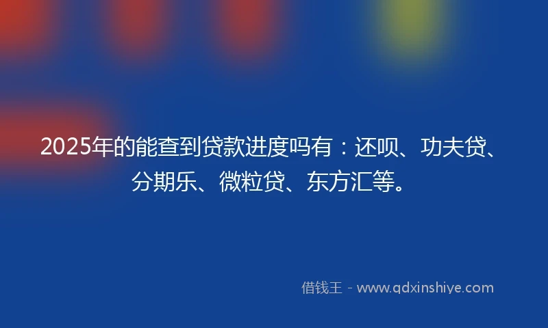 2025年的能查到贷款进度吗有：还呗、功夫贷、分期乐、微粒贷、东方汇等。