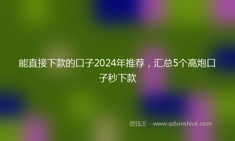 能直接下款的口子2024年推荐，汇总5个高炮口子秒下款