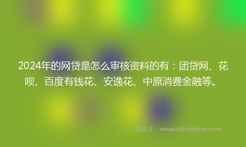 2024年的网贷是怎么审核资料的有：团贷网、花呗、百度有钱花、安逸花、中原消费金融等。