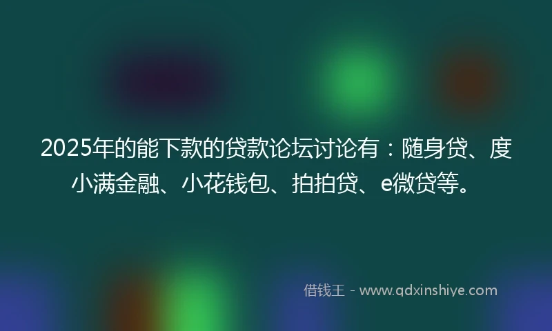 2025年的能下款的贷款论坛讨论有：随身贷、度小满金融、小花钱包、拍拍贷、e微贷等。