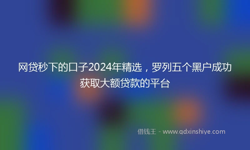 网贷秒下的口子2024年精选，罗列五个黑户成功获取大额贷款的平台