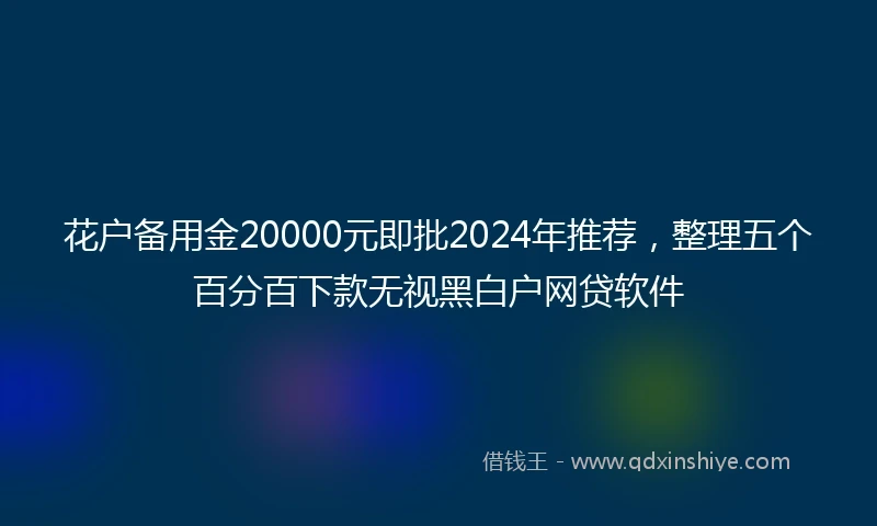 花户备用金20000元即批2024年推荐，整理五个百分百下款无视黑白户网贷软件