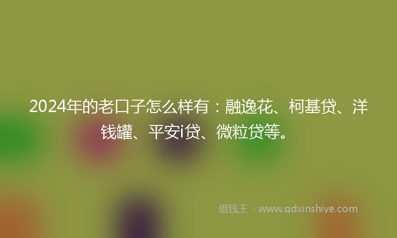 2024年的老口子怎么样有：融逸花、柯基贷、洋钱罐、平安i贷、微粒贷等。
