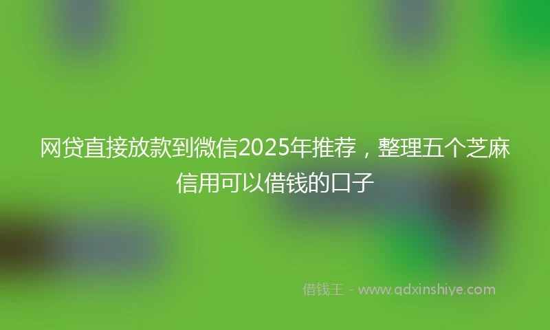 网贷直接放款到微信2025年推荐，整理五个芝麻信用可以借钱的口子