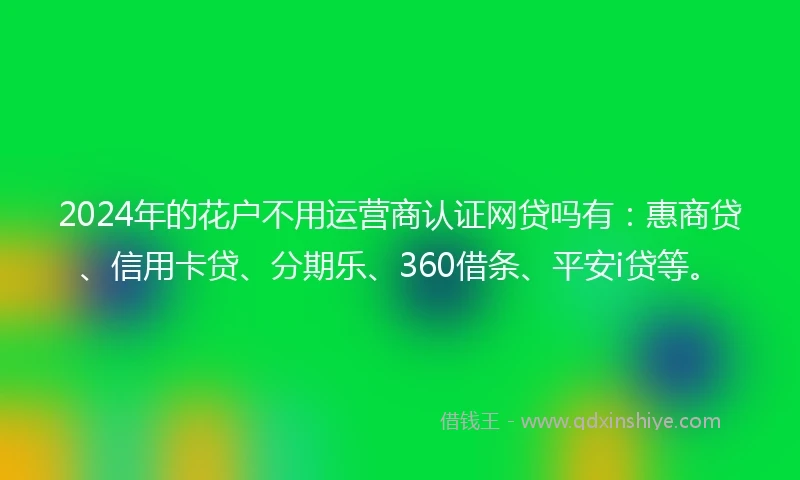 2024年的花户不用运营商认证网贷吗有：惠商贷、信用卡贷、分期乐、360借条、平安i贷等。