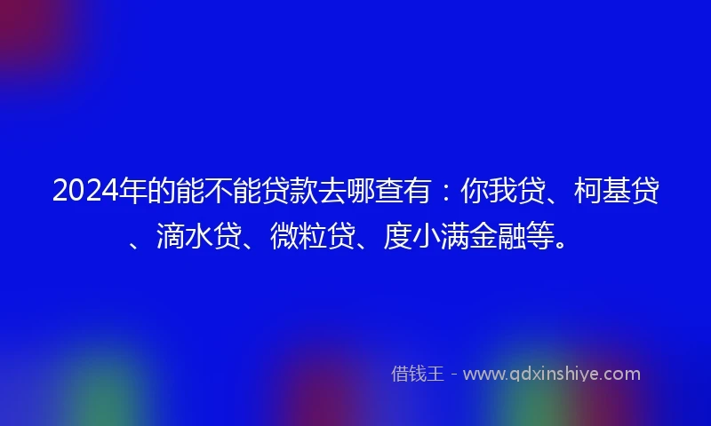 2024年的能不能贷款去哪查有：你我贷、柯基贷、滴水贷、微粒贷、度小满金融等。