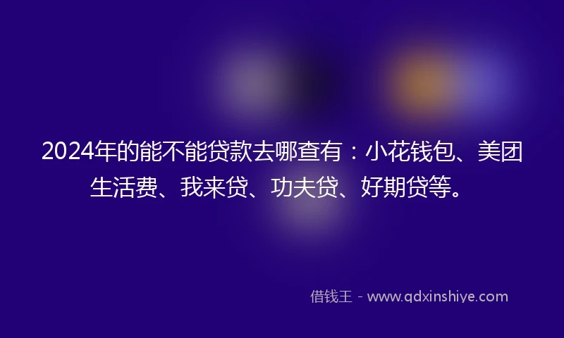 2024年的能不能贷款去哪查有：小花钱包、美团生活费、我来贷、功夫贷、好期贷等。
