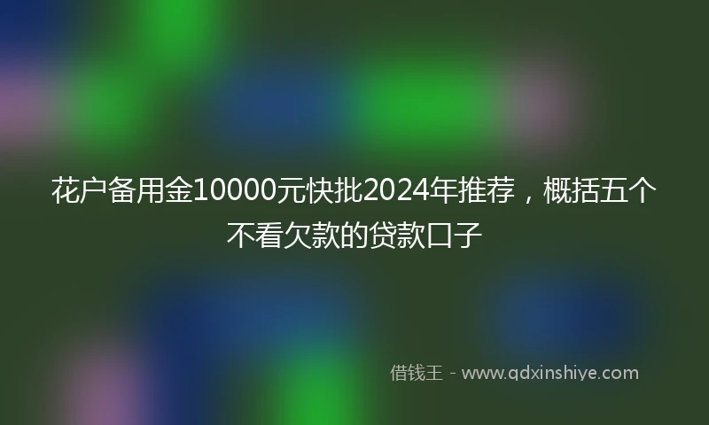花户备用金10000元快批2024年推荐，概括五个不看欠款的贷款口子