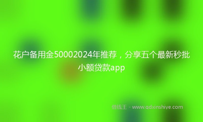 花户备用金50002024年推荐,分享五个最新秒批小额贷款app