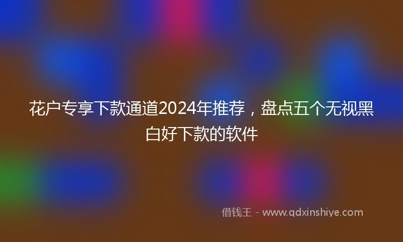 花户专享下款通道2024年推荐，盘点五个无视黑白好下款的软件