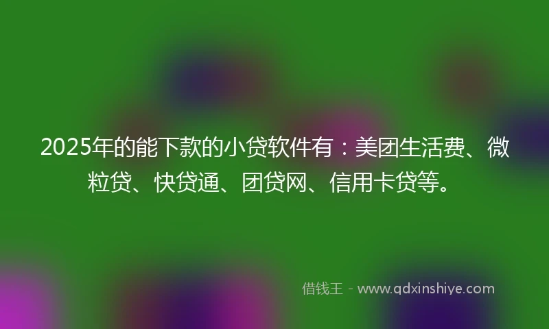 2025年的能下款的小贷软件有：美团生活费、微粒贷、快贷通、团贷网、信用卡贷等。