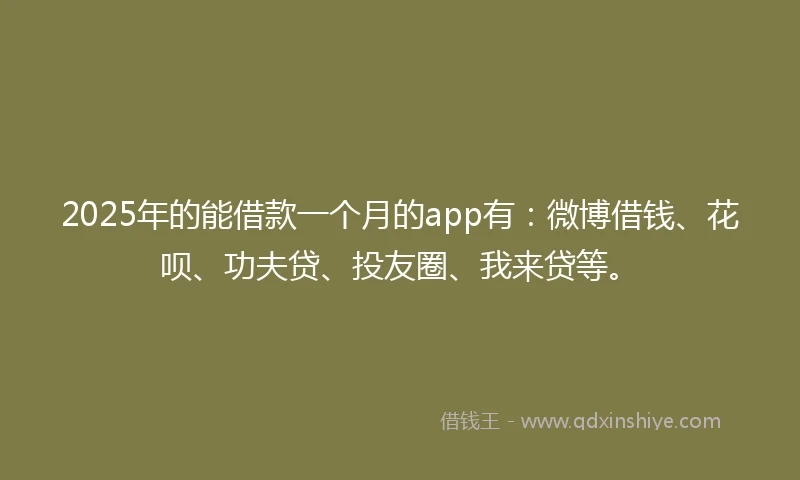 2025年的能借款一个月的app有：微博借钱、花呗、功夫贷、投友圈、我来贷等。