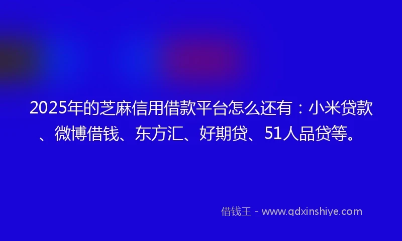 2025年的芝麻信用借款平台怎么还有：小米贷款、微博借钱、东方汇、好期贷、51人品贷等。