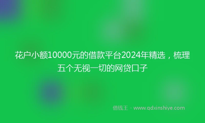 花户小额10000元的借款平台2024年精选，梳理五个无视一切的网贷口子