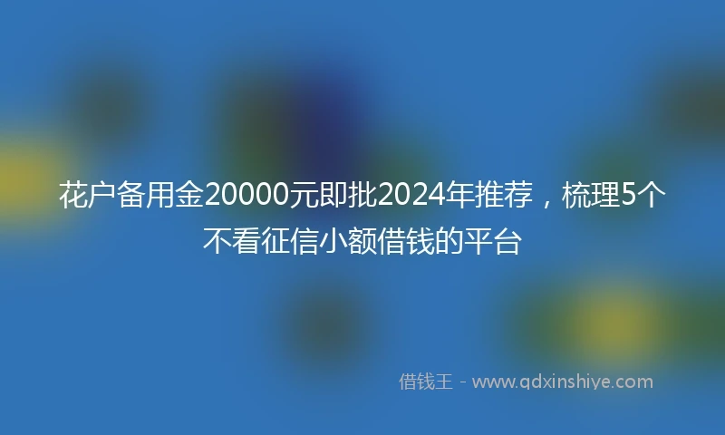 花户备用金20000元即批2024年推荐，梳理5个不看征信小额借钱的平台
