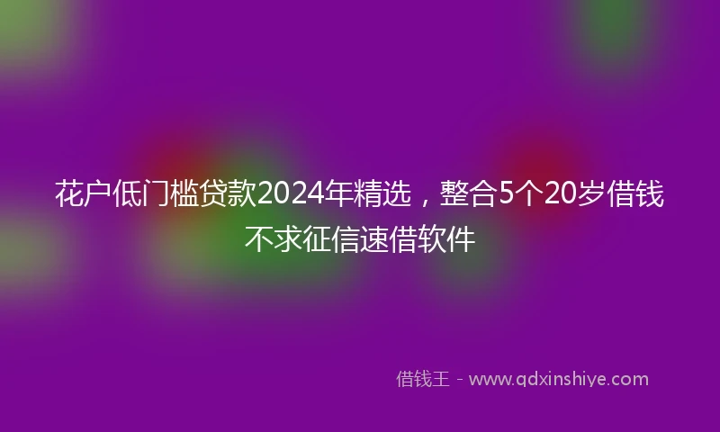 花户低门槛贷款2024年精选，整合5个20岁借钱不求征信速借软件