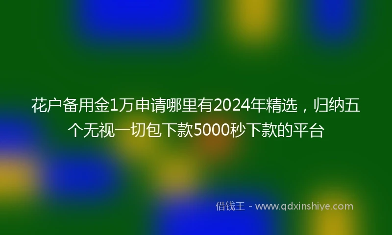 花户备用金1万申请哪里有2024年精选，归纳五个无视一切包下款5000秒下款的平台