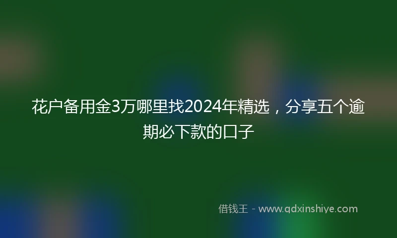 花户备用金3万哪里找2024年精选,分享五个逾期必下款的口子