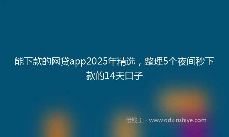 能下款的网贷app2025年精选，整理5个夜间秒下款的14天口子