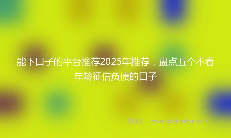 能下口子的平台推荐2025年推荐，盘点五个不看年龄征信负债的口子