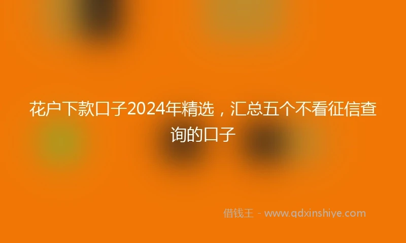 花户下款口子2024年精选，汇总五个不看征信查询的口子