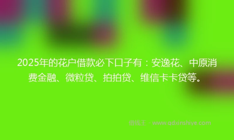 2025年的花户借款必下口子有：安逸花、中原消费金融、微粒贷、拍拍贷、维信卡卡贷等。