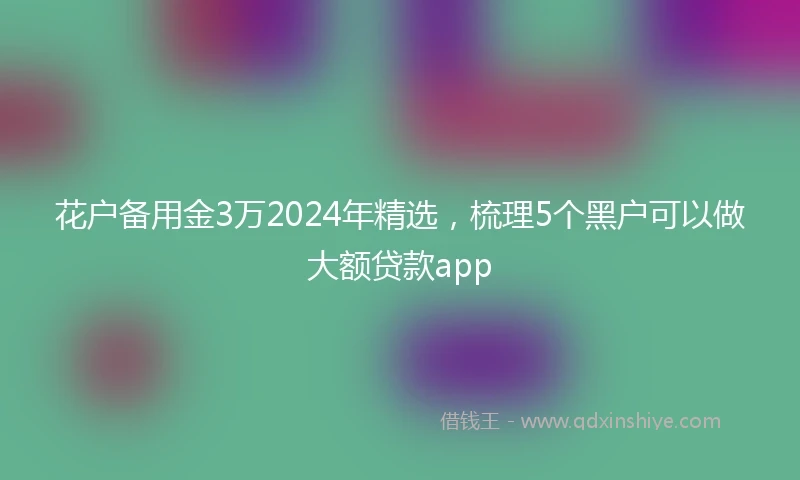 花户备用金3万2024年精选，梳理5个黑户可以做大额贷款app